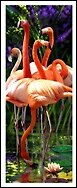 Закладка 3D Flamingos (Листопадова)