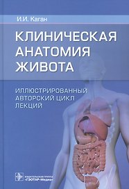 Клиническая анатомия живота. Иллюстрированный авторский цикл лекций
