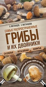 Самые распространенные грибы и их двойники съедобные, несъедобные, ядовитые