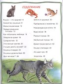 Кошки и котята - 1