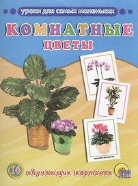 ОБУЧАЮЩИЕ КАРТОЧКИ. КОМНАТНЫЕ ЦВЕТЫ