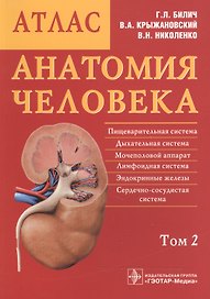 Анатомия человека. Атлас: учебное пособие. В 3 томах. Том 2.