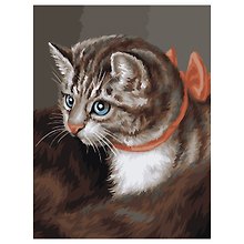 Картина-раскраска по номерам «Любимая кошка», 30 х 40 см, на холсте, Три совы