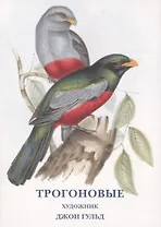 Трогоновые. Набор открыток