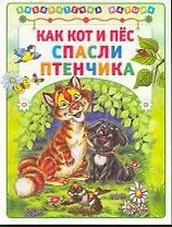 Как кот и пёс спасли птенчика