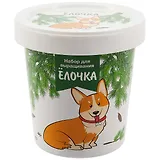 Набор для выращивания Елочка (Корги) (НВ2019-27)