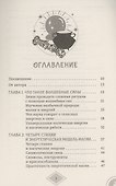 Силы стихий для ведьм: основы энергетической магии - 2