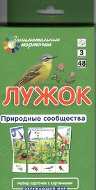 Лужок. Природные сообщества