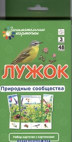 Лужок. Природные сообщества