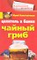 Целитель в банке. Чайный гриб - 0