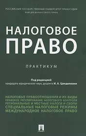 Налоговое право. Практикум