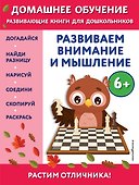 Развиваем внимание и мышление: для детей от 6 лет - 0