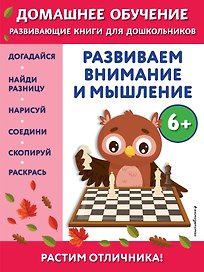 Развиваем внимание и мышление: для детей от 6 лет