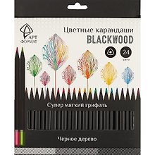 Карандаши цветные «Blackwood», АРТформат, 24 цвета
