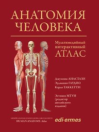 Анатомия человека: атлас