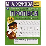 Рабочая тетрадь дошкольника с прописями. Пишем палочки и крючочки. 5-6 лет