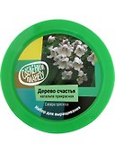 Набор для выращивания растений, Вырасти, Дерево! Дерево счастья катальпа zk-068 - 1