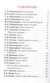 Это Родина моя! Рассказы и стихи о России - 1