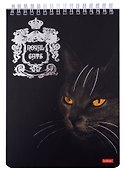 Блокнот А5 80л кл. "Royal Cats" гребень, мат.ламинация, 3D фольга, ассорти - 0