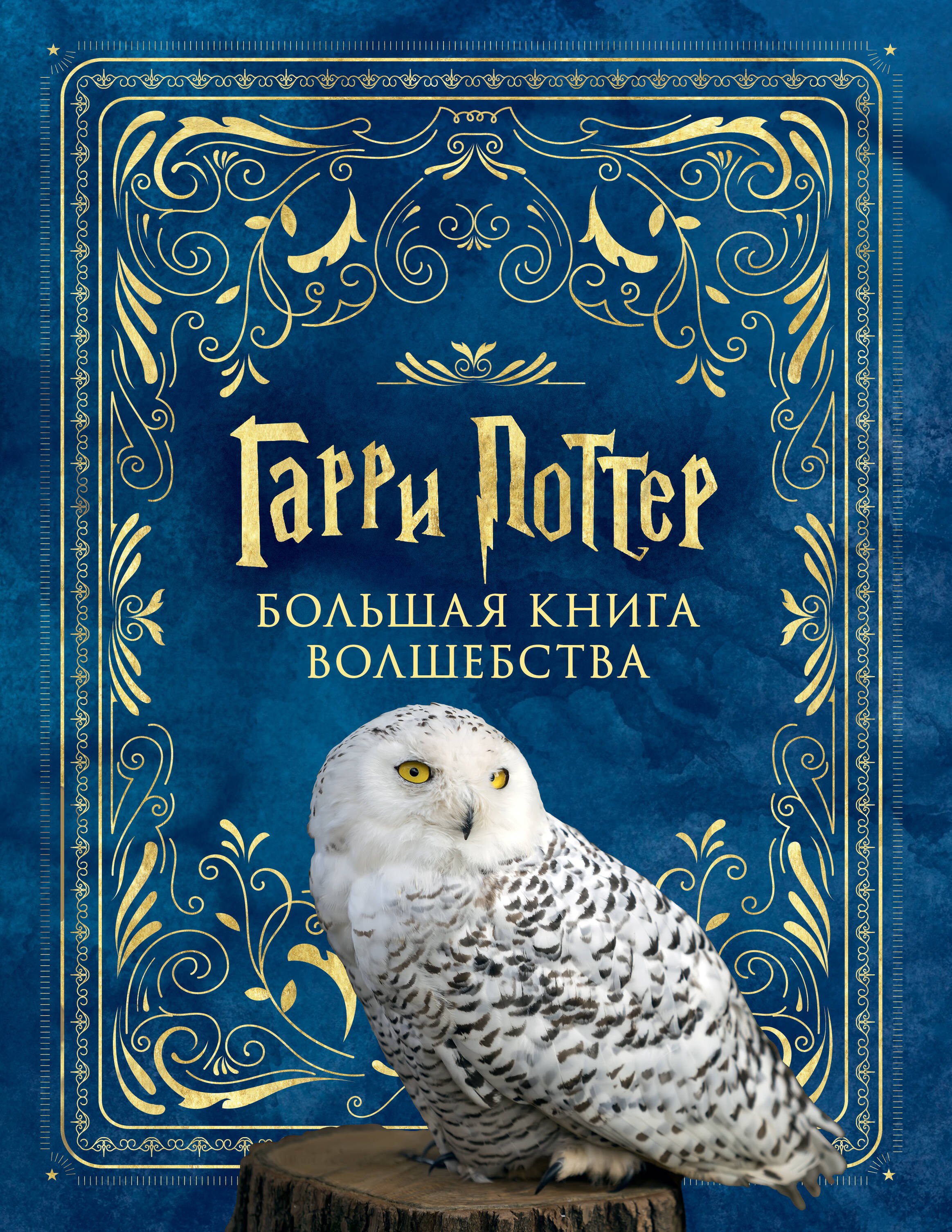 

Гарри Поттер. Большая книга волшебства