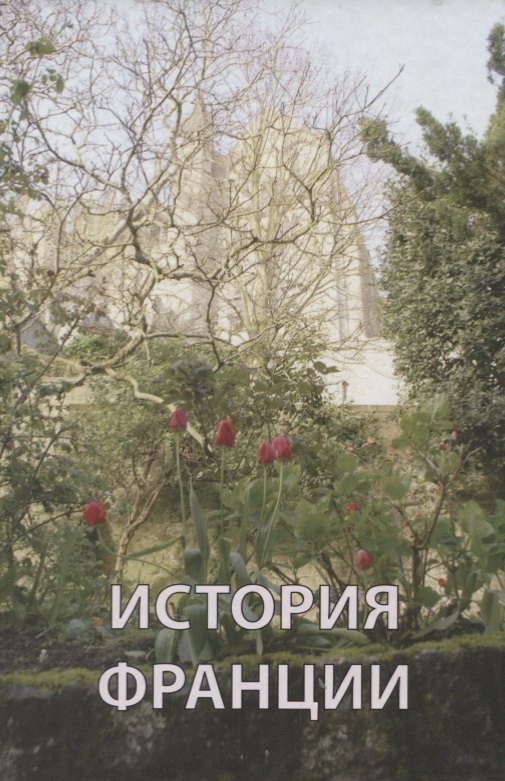

История Франции (Андреев)