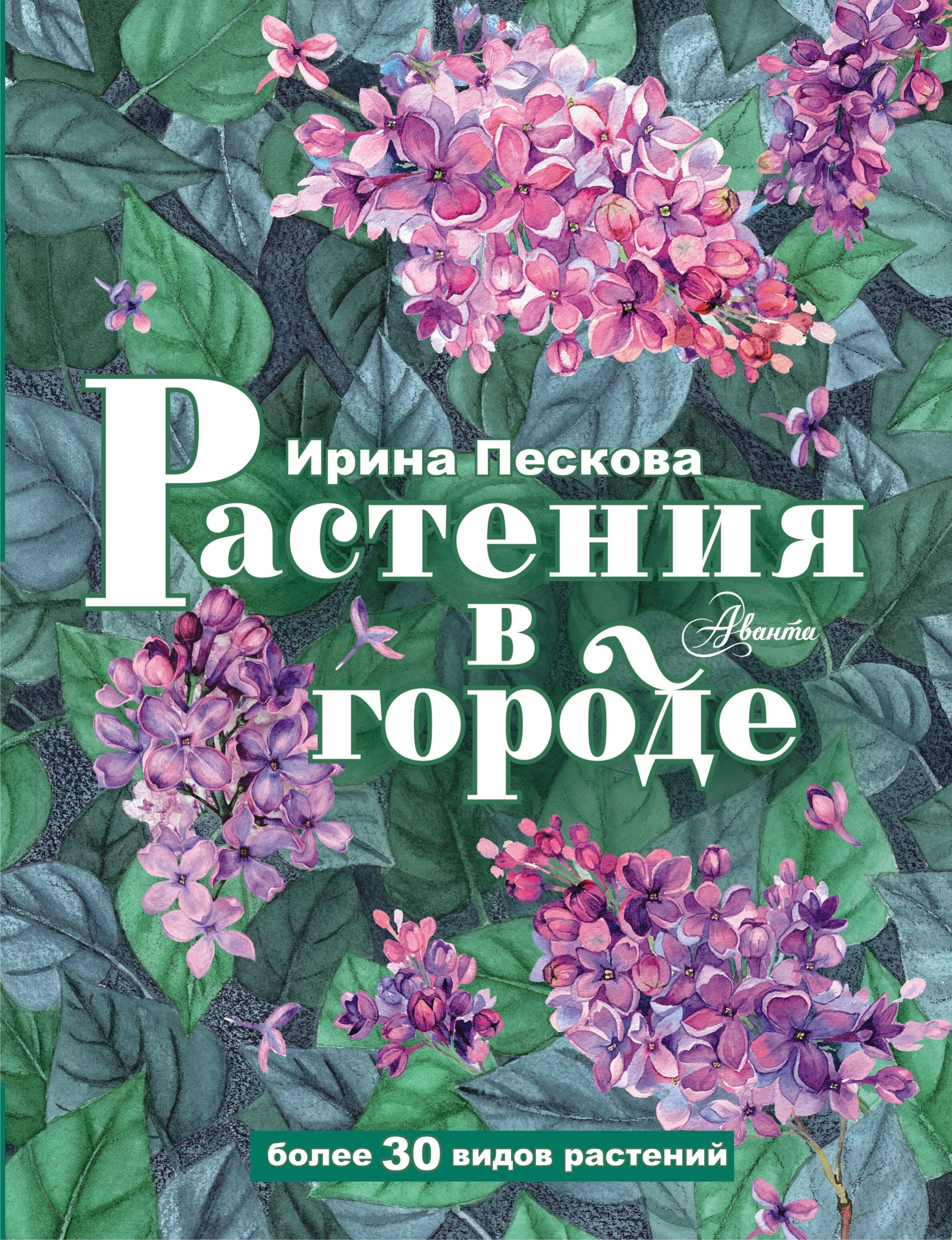

Растения в городе