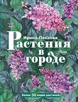 Растения в городе