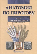 Анатомия по Пирогову. Атлас анатомии человека. В 3-х томах. Том 1. Верхняя конечность. Нижняя конечность