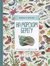 На морском берегу. Природа в деталях