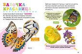 Насекомые. Первая энциклопедия малыша - 2