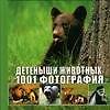 Детеныши животных. 1001 фотография