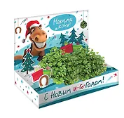 Подарочный набор Живая открытка Накорми коня (hps-195)