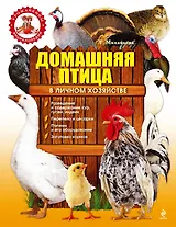 Подарок владельцу усадьбы . Домашняя птица в личном хозяйстве /И.Егоров. Большая энциклопедия фермера (комплект из 2-х книг)