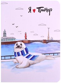 Записная книжка «Нерпа на Неве» А6, 32 листа в клетку, сшивка, Знаковые сувениры