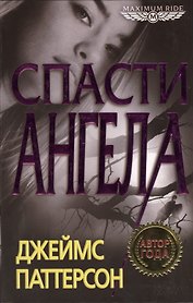 Спасти Ангела : роман