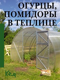 Огурцы, помидоры в теплице