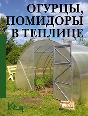 Огурцы, помидоры в теплице