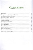 Чудеса из пластиковых бутылок - 1