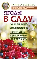 Ягоды в саду. Земляника, смородина, малина, крыжовник, жимолость