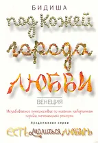 Венеция. Под кожей города любви