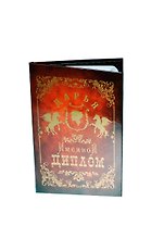 Диплом именной Дарья (IM0000045) (Мастер)