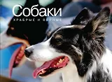 Собаки. Храбрые и верные