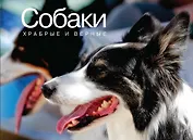 Собаки. Храбрые и верные