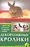 Декоративные кролики. Содержание. Кормление. Разведение. Лечение - 1
