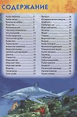Подводный мир - 1
