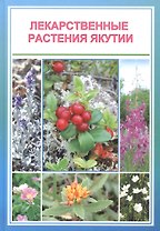 Лекарственные растения Якутии