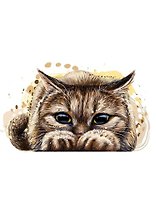 Холст с красками по номерам 40х50см ТМ Рыжий кот Озорной котенок Х-8635