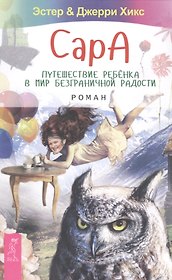 Сара. Путешествие ребенка в мир безграничной радости. Роман