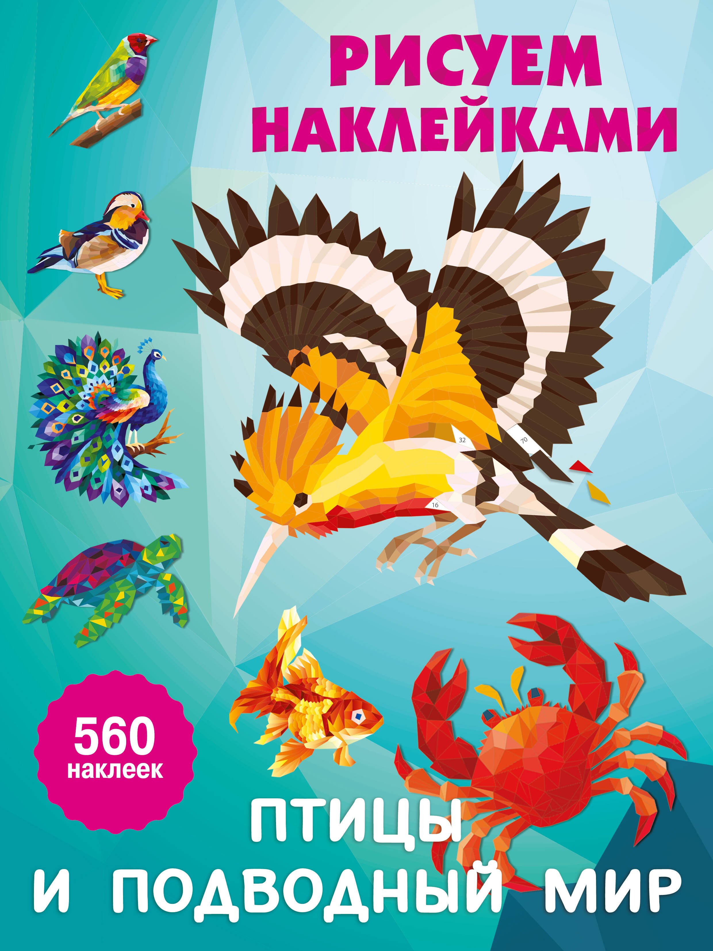 

Птицы и подводный мир