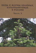Виды и формы хвойных, культивируемые в России. Часть 3.